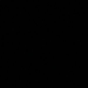 Meet your Posher, Brandi